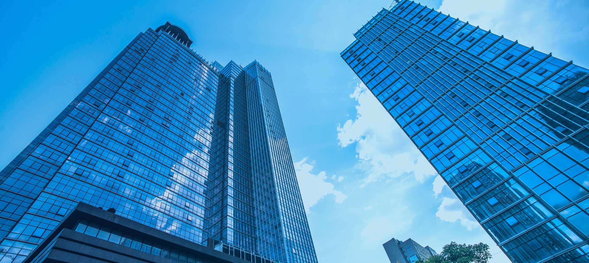 定制化服務(wù)